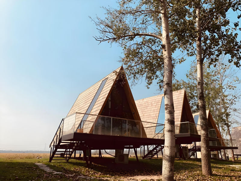 贵州铜仁树蛙部落：隐秘的树屋民宿